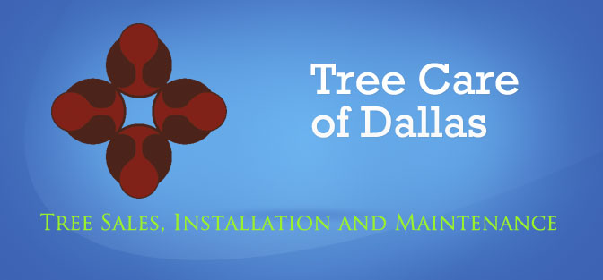 Tree Care of Dallas