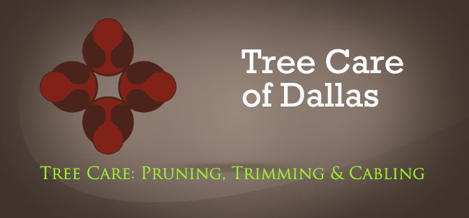 Tree Care of Dallas